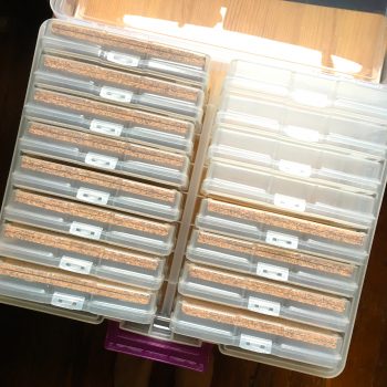 pincase11