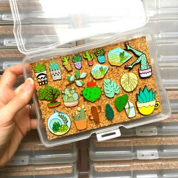 pincase12